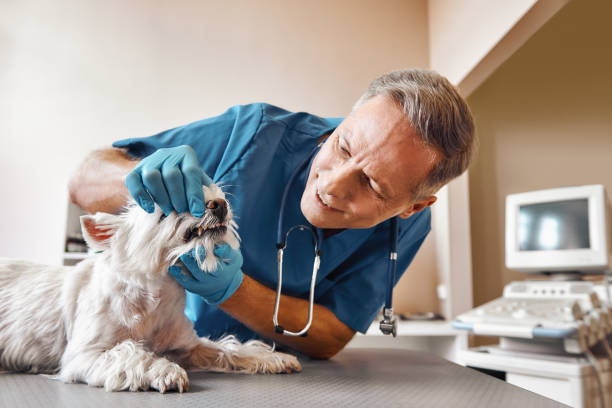 Best Emergency Wisdom Tooth Extraction in Cowan, TN